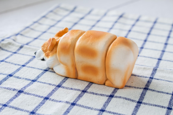 麵包狗系列 吐司柯基 第3張的照片