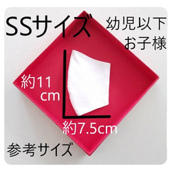 ラス1【薄型立体マスク２枚組 SSｻｲｽﾞ幼児用】水色ハリネズミ  暑さ軽減 さらし 洗って使える 3枚目の画像