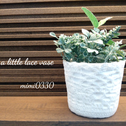 a little lace vase* レース編みの鉢植えカバー　プランター 2枚目の画像