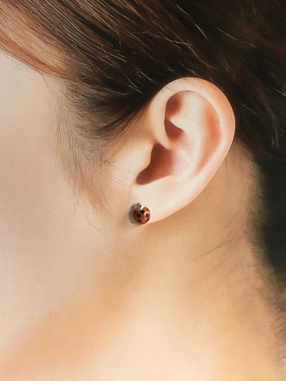 【銀景泰藍】七星瓢蟲耳環（一隻耳朵） 第2張的照片