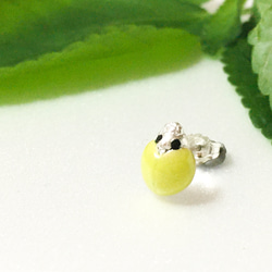 【銀景泰藍】黃色瓢蟲耳環（一隻耳朵） 第1張的照片