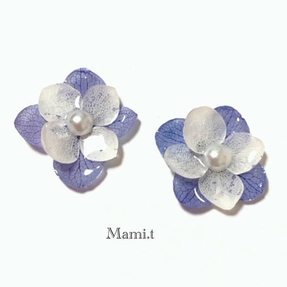 《Mami.t》  本物の紫陽花　イヤリング/ピアス 2枚目の画像