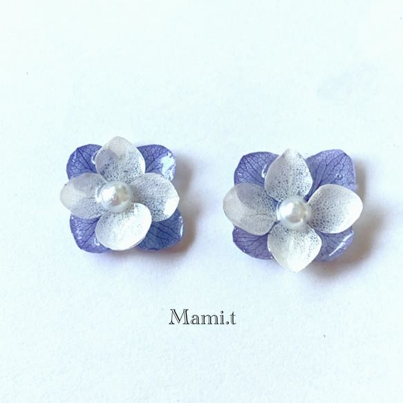 《Mami.t》  本物の紫陽花　イヤリング/ピアス 3枚目の画像