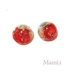 《Mami.t》   再販♡真っ赤なスターフラワーのイヤリング 1枚目の画像
