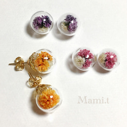 《Mami.t》  かすみ草  ピアス　（bのみ販売） 1枚目の画像