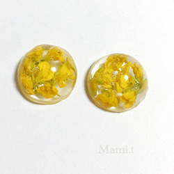 《Mami.t》 再販♡菜の花のイヤリングorピアス 1枚目の画像