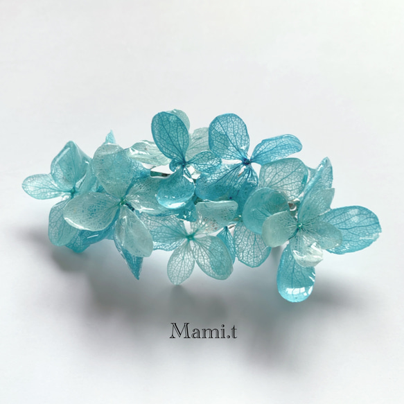 《Mami.t》  本物 紫陽花 ブルーグラデーションミニバレッタ 1枚目の画像