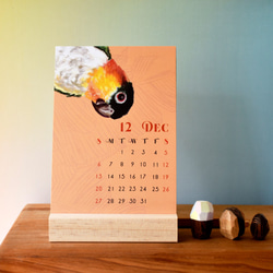 2021年粉彩風彩色小鸚鵡桌曆 // 明信片尺寸 第4張的照片