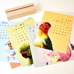 2021年粉彩風彩色小鸚鵡桌曆 // 明信片尺寸 第5張的照片