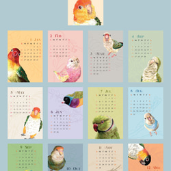 2021年粉彩風彩色小鸚鵡桌曆 // 明信片尺寸 第6張的照片