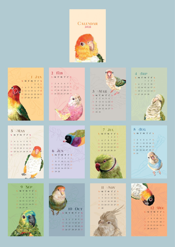 2021年粉彩風彩色小鸚鵡桌曆 // 明信片尺寸 第6張的照片