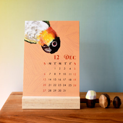 2022年 粉彩風彩色小鸚鵡桌曆 // 明信片尺寸 第2張的照片