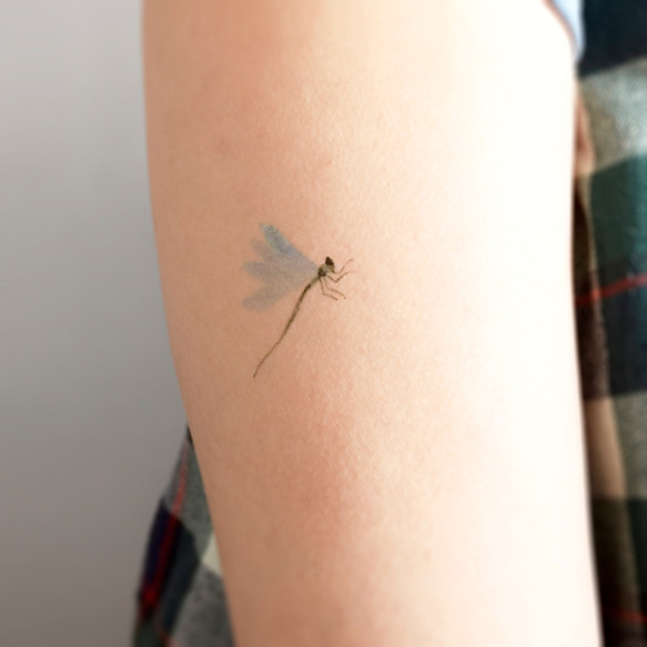清新水彩昆蟲系紋身貼 // 一套十一款 第2張的照片