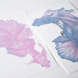 粉紅水彩鬥魚紋身貼，游水小魚貼 第2張的照片