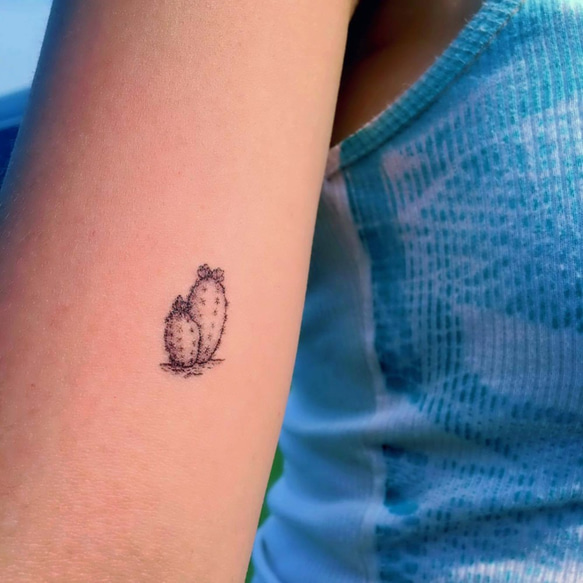 LAZY DUO貼るTATOO 一時的な入れ墨 タトゥーステッカー 水彩 ペット カクタス サボテン CACTUS 草木 4枚目の画像