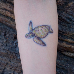 LAZY DUO 紋身貼紙 | 海龜・動物 Turtle Animal Temporary Tattoo Sticker 第2張的照片