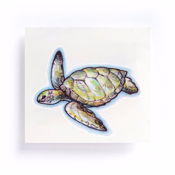 LAZY DUO 紋身貼紙 | 海龜・動物 Turtle Animal Temporary Tattoo Sticker 第3張的照片