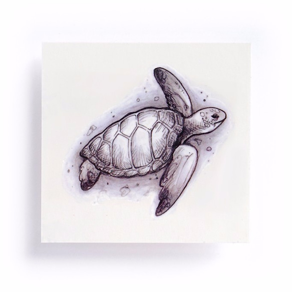 LAZY DUO 紋身貼紙 | 海龜・動物 Turtle Animal Temporary Tattoo Sticker 第4張的照片