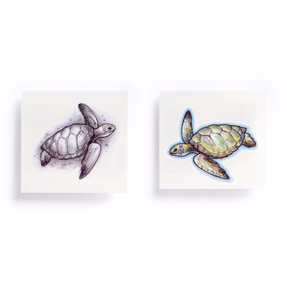 LAZY DUO 紋身貼紙 | 海龜・動物 Turtle Animal Temporary Tattoo Sticker 第5張的照片