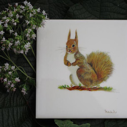 オリジナルタイル　森の動物達　３枚セット　フクロウ　リス　ネズミ　　9.7×9.7×0.4(cm)　 4枚目の画像