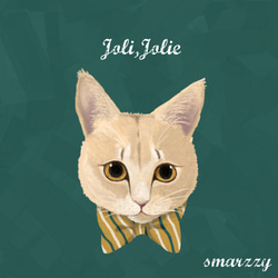 【iPhone8/8Plus対応】Joli,Jolie【iPhone7・各機種対応】 手帳型ケース 075 5枚目の画像