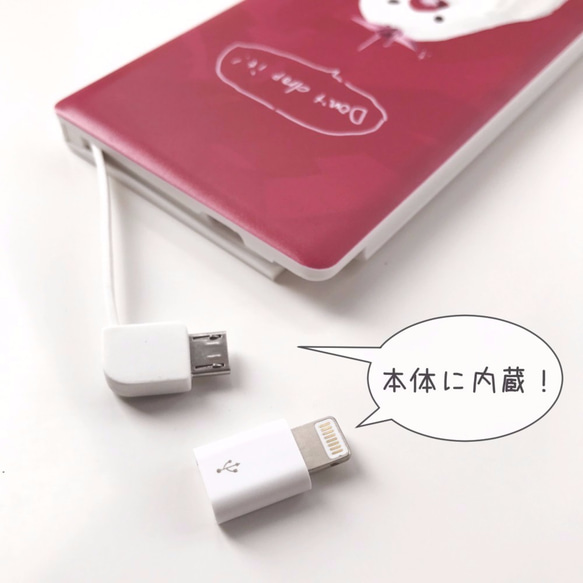 [售完] Omase企鵝iBravo！[出口]移動電池使用USB電纜060 第4張的照片