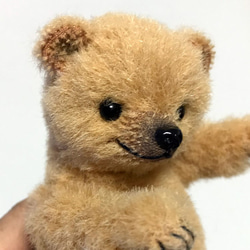 オーダー品 フタユビナマケモノ ぬいぐるみ sera 通販 5031160