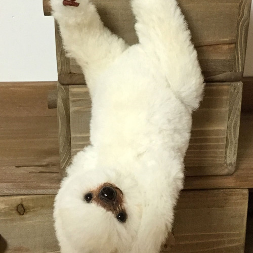 ハンドメイド フタユビナマケモノ　ぬいぐるみ　テディベア　作家さま　アーティスト オーダー品 フタユビナマケモノ ぬいぐるみ sera 通販 3084056