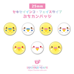 セキセイインコ・フェイスタイプ 25mm・ぷちカンバッジ 1枚目の画像