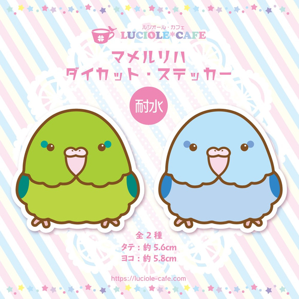 Parrotlet * 防水貼紙 第1張的照片