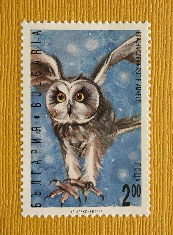 　ちいさなartmuseum　　BULGARIA　stamp 2枚目の画像