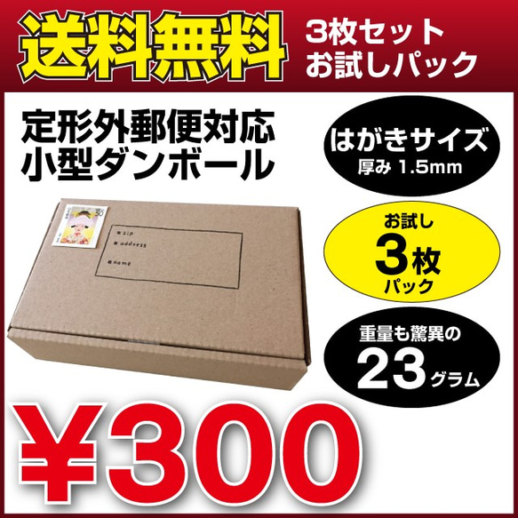 送料無料】定形外郵便対応小型ダンボール ハガキサイズ お試し3