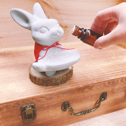  兔子首飾盤／皂盤 第4張的照片