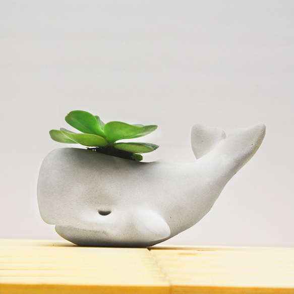 島嶼鯨魚- 水泥盆花瓶・花器T-bone水泥工作室的作品5674536｜Creema