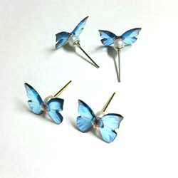 蝶々のピアス  スタッド  ロジウム 4枚目の画像