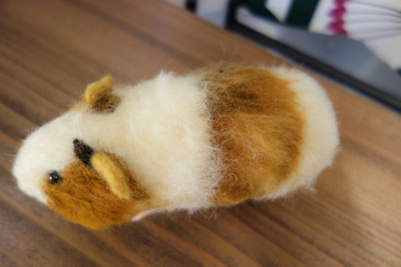 モルモット（こども）　小動物　羊毛フェルト 6枚目の画像