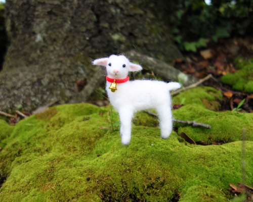 0_de5669a5df13698be918402c28ed