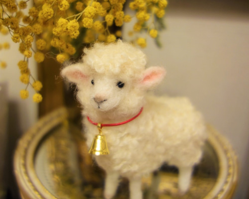 真っ白の羊さん 羊毛フェルト 羊毛フェルト WoolenDogs Samantha 通販