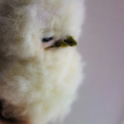 ガマグチヨタカのヒナ　赤ちゃん　鳥　 羊毛フェルト 1枚目の画像