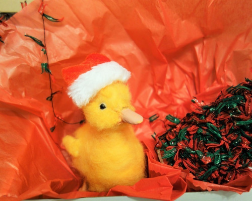 0_70f1d6a8ea6e809a193c8b26601e