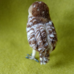 アナホリフクロウ　羊毛フェルト　鳥　 2枚目の画像