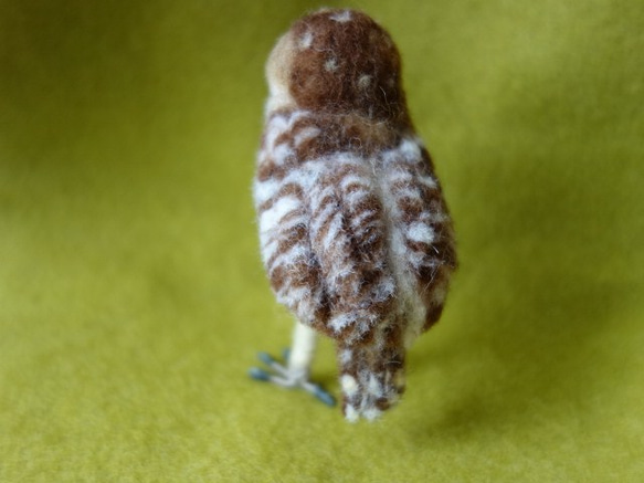 アナホリフクロウ　羊毛フェルト　鳥　 2枚目の画像