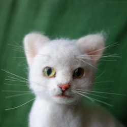 送料無料　白猫　羊毛フェルト 1枚目の画像