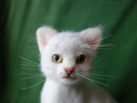 送料無料　白猫　羊毛フェルト 1枚目の画像