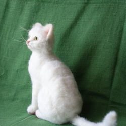 送料無料　白猫　羊毛フェルト 6枚目の画像