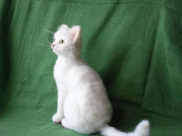 送料無料　白猫　羊毛フェルト 6枚目の画像