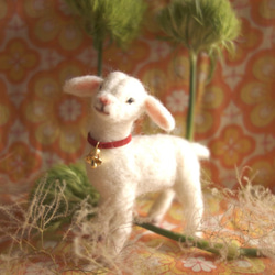 子ヤギ　羊毛フェルト 1枚目の画像