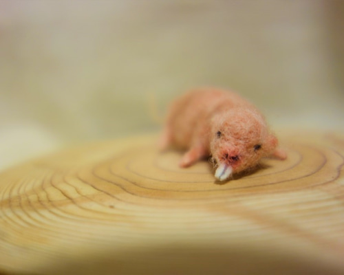 ハダカデバネズミのブローチ No2 羊毛フェルト 羊毛フェルト