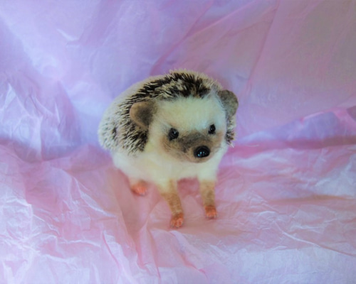 ハリネズミ（お座り） 羊毛フェルト 羊毛フェルト WoolenDogs Samantha