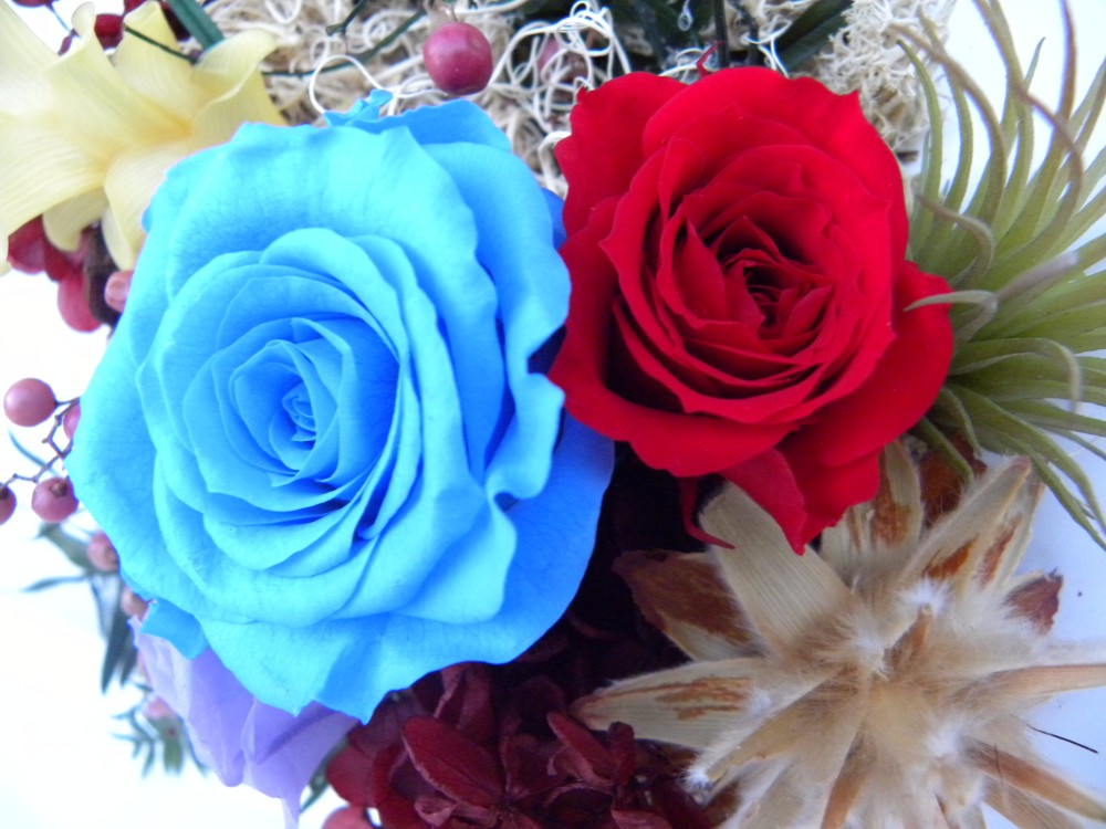 リゾート"natupasi"大人の癒しをお届け！